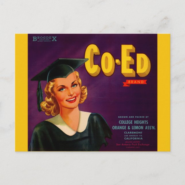 Zitrusfrüchtesiegel der Co-Ed-Marke der 40er Jahre Postkarte (Vorderseite)