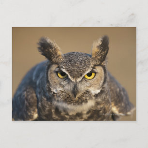 zittern, usa postkarte