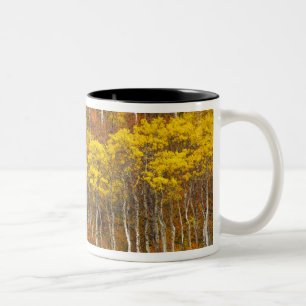 Zitterpappel-Hain in voller Herbstfarbe in 2 Zweifarbige Tasse