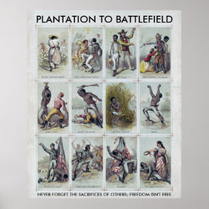 ZIVILER KRIEG: von Plantage zu Schlachtfeld Poster