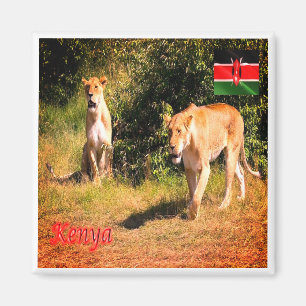 zKE005 KENIA, Löwen, Afrika, Kühlschrank Magnet