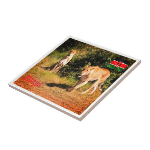 zKE005 KENIA, Löwen, Fliese