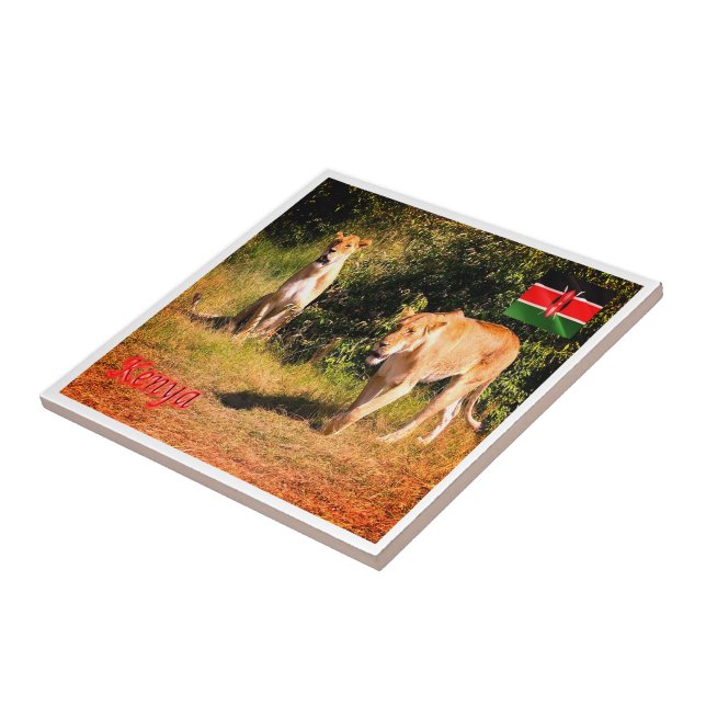 zKE005 KENIA, Löwen, Fliese (Seite)