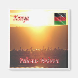 zKE020 KENIA, Pelicans Nakuru, Afrika, Kühlschrank Magnet