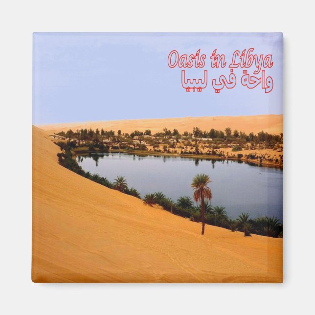 zLY008 OASIS, Libyen, Afrika, Kühlschrank Magnet (Vorne)