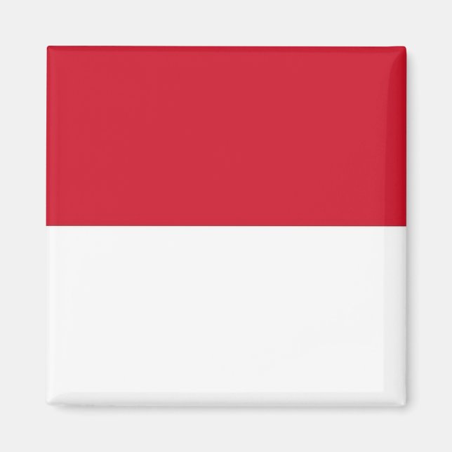 zMC001 Monegasque FLAG, Fürstentum Monaco Magnet (Vorne)