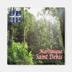 zMQ008 SAINT DENIS, Regenwald, Martinique, Kühlsch Magnet