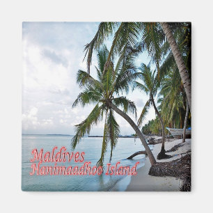 zMV007 HANIMAADHOO, HAA DHAALU ATOLL, Malediven, Magnet
