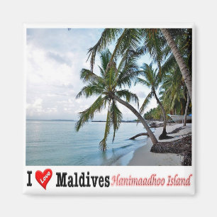 zMV008 HANIMAADHOO, HAA DHAALU ATOLL, Malediven, Magnet