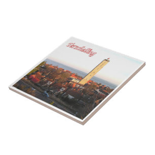 zNL019 TERSCHELLING Dutch Frisian Islands, Fliese