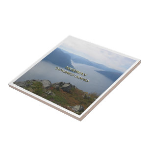 zNO086 SOGNEFJORD view on Vangsnes, Norwey, Fliese