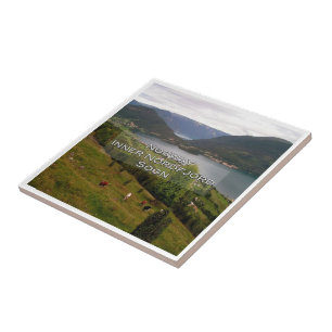 zNO109 INNER NORDFJORD SOGN, Norwegen, Fliese