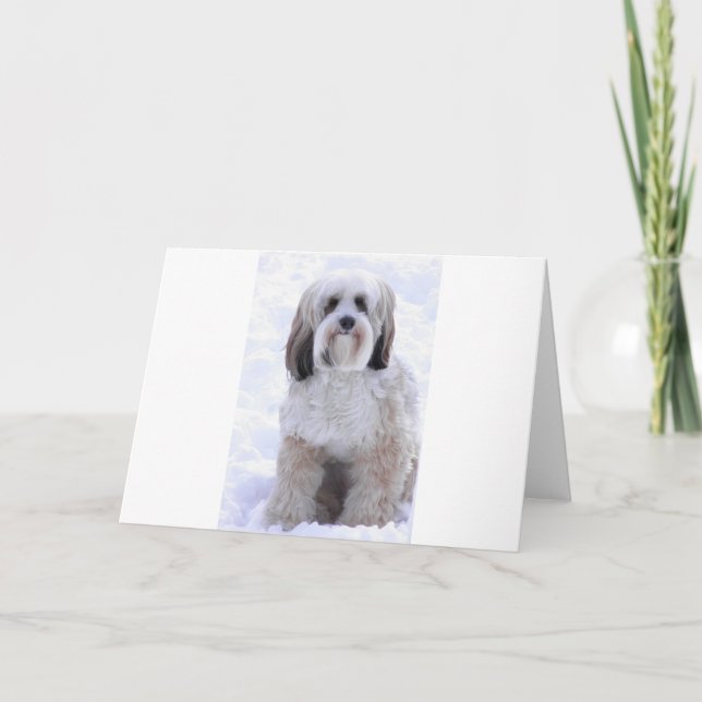 Zobel und Weiß tibetanischen Terriers Karte (Vorderseite)