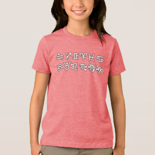 Zodiac Alle Zeichen Tri-Blend Shirt