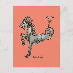 Zodiac: Capricorn, 1482 Postkarte