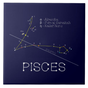 Zodiac Constellation Pisces Fliese
