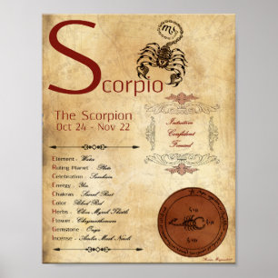 ZODIAC SCORPIO GeburtssignaturPOSTER Poster