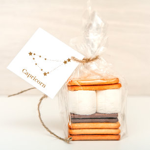 Zodiac Sign Gold Capricorn Element Erde Geschenkanhänger