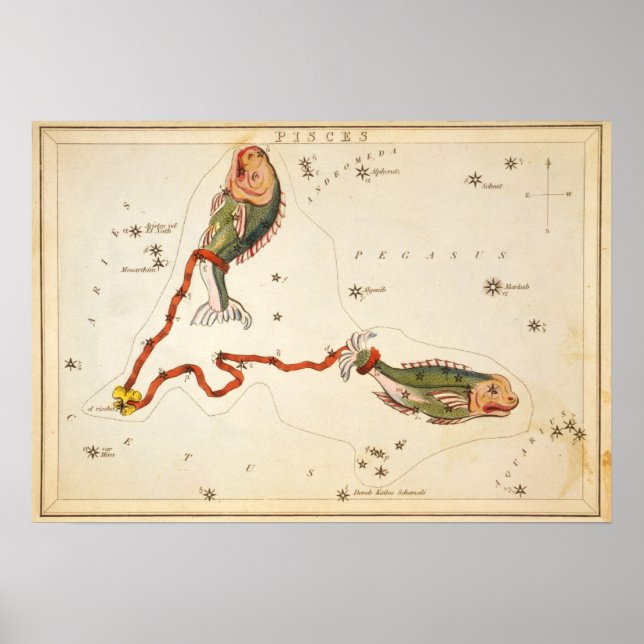 "Zodiac Sign: Pisces", Druck/Poster Poster (Vorne)