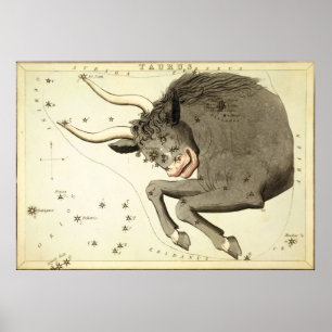 "Zodiac Sign" Poster/Print "Taurus" Poster