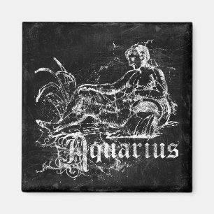 Zodiac Vintage Wassermann Magnet