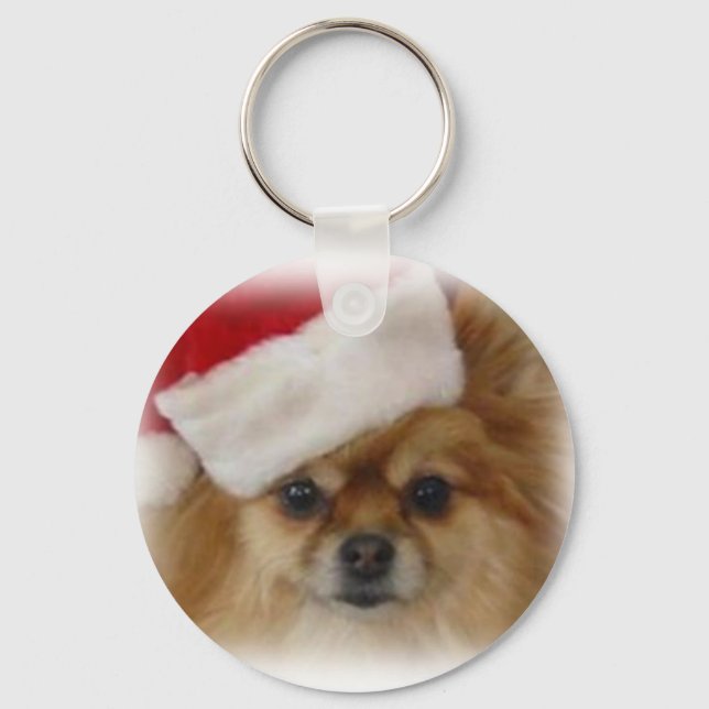 ZOE 2009 SCHLÜSSELANHÄNGER (Vorderseite)