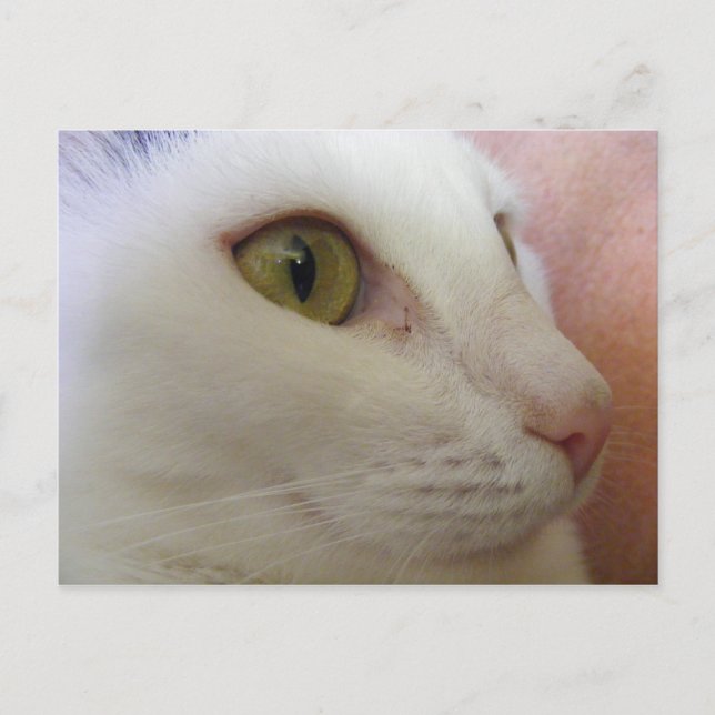 Zoe denkt. postkarte (Vorderseite)