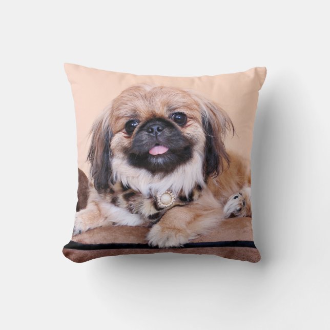 Zoe - Pekingese Kissen (Vorderseite)