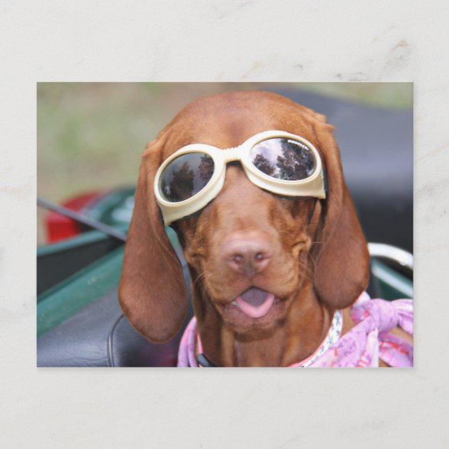 Zoe Ready to Ride Postkarte (Vorderseite)