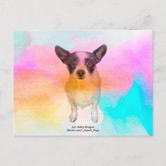 Zoey Disco-Postkarte Postkarte