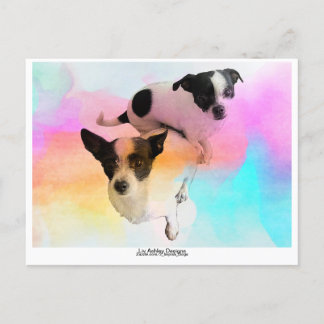 Zoey & Gracie Disco Blank Postcard! Postkarte