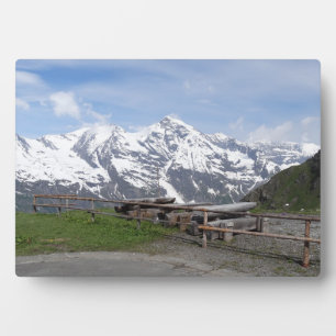 Zollplakette der österreichischen Alpen Fotoplatte
