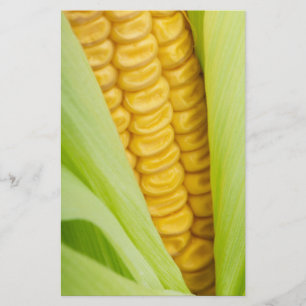 Zollrechtliche Flyer für Frischmais