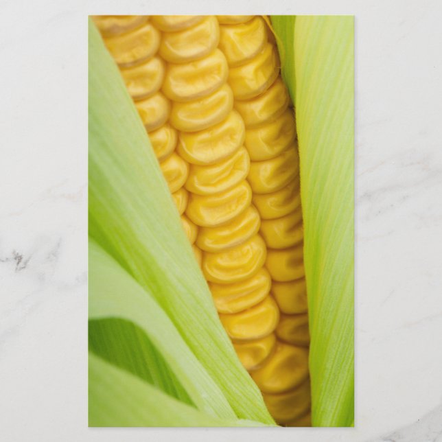 Zollrechtliche Flyer für Frischmais (Vorne)