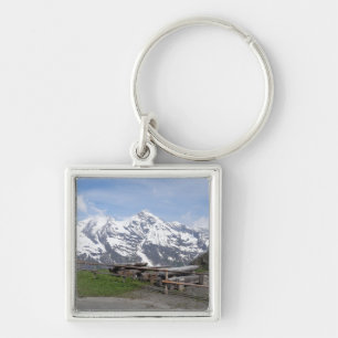 ZollSchlüsselkette für die österreichischen Alpen Schlüsselanhänger