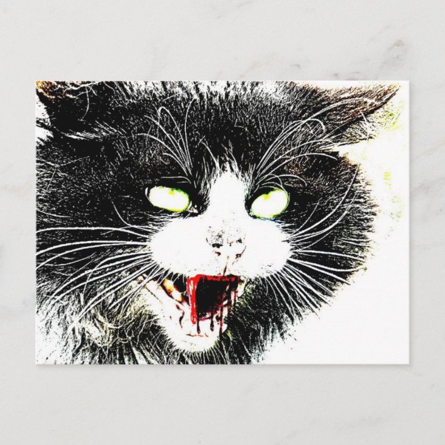 Zombie Cat Postcard Postkarte (Vorderseite)
