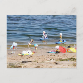Zomer op het strand met de Fubby's Postkarte