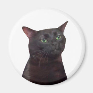 Zoned Out Cat Meme Magnet