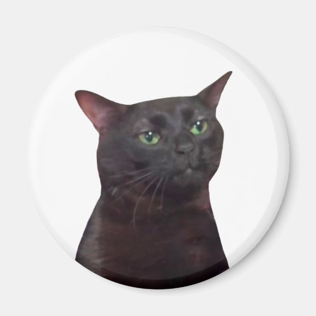 Zoned Out Cat Meme Magnet (Vorne)