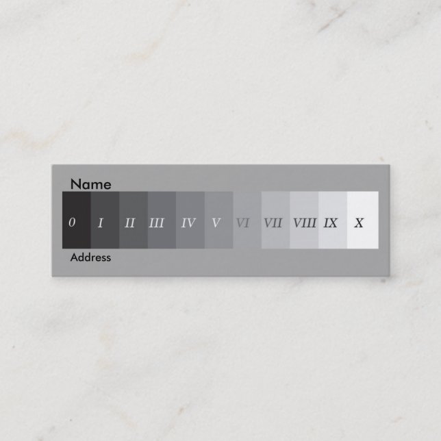 Zonen-System Mini Visitenkarte (Vorderseite)