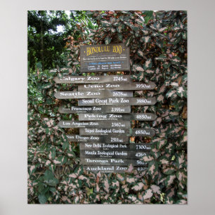 ZOO am Ende der ERDE - HONOLULU Poster