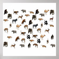 Zoo Animals Poster