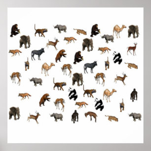 Zoo Animals Poster