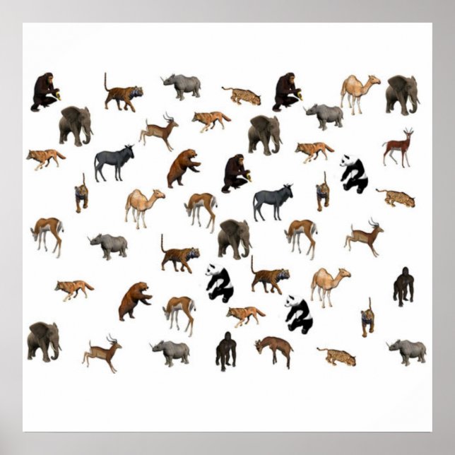 Zoo Animals Poster (Vorne)