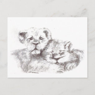 Zoo Babies Postcard Postkarte