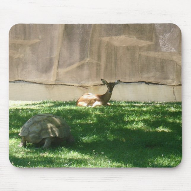 Zoo Bilder Mousepad (Vorne)