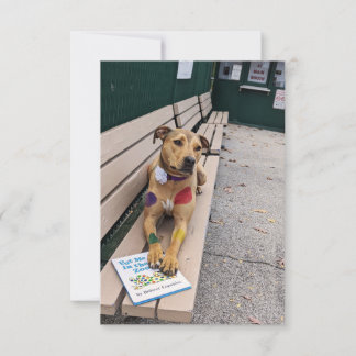 Zoo Cosplay Buch Funny Dog Foto Card Dankeskarte
