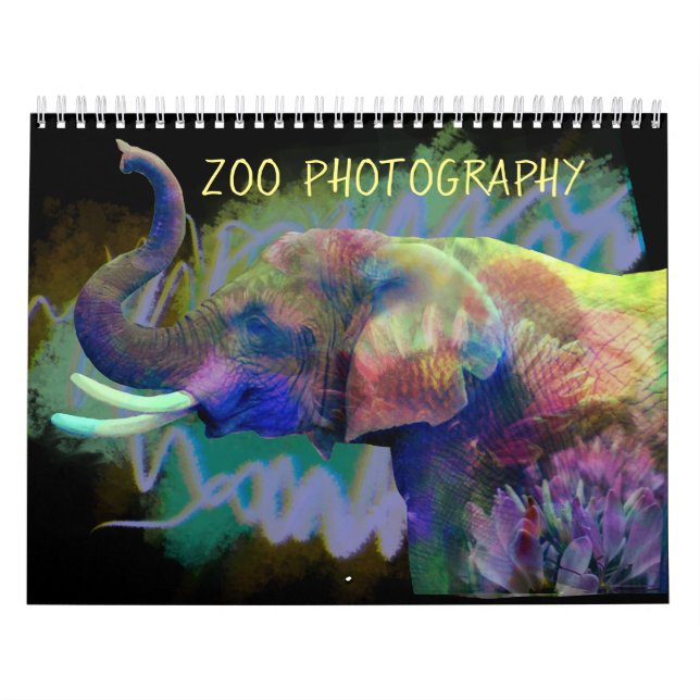 Zoo-Fotografie Kalender (Titelbild)