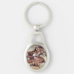 Zoo Katze Animal Print Baby Park Entspannen Liebe  Schlüsselanhänger