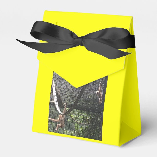 Zoo-Liebe-Bevorzugungsbox Geschenkschachtel (Vorderseite)